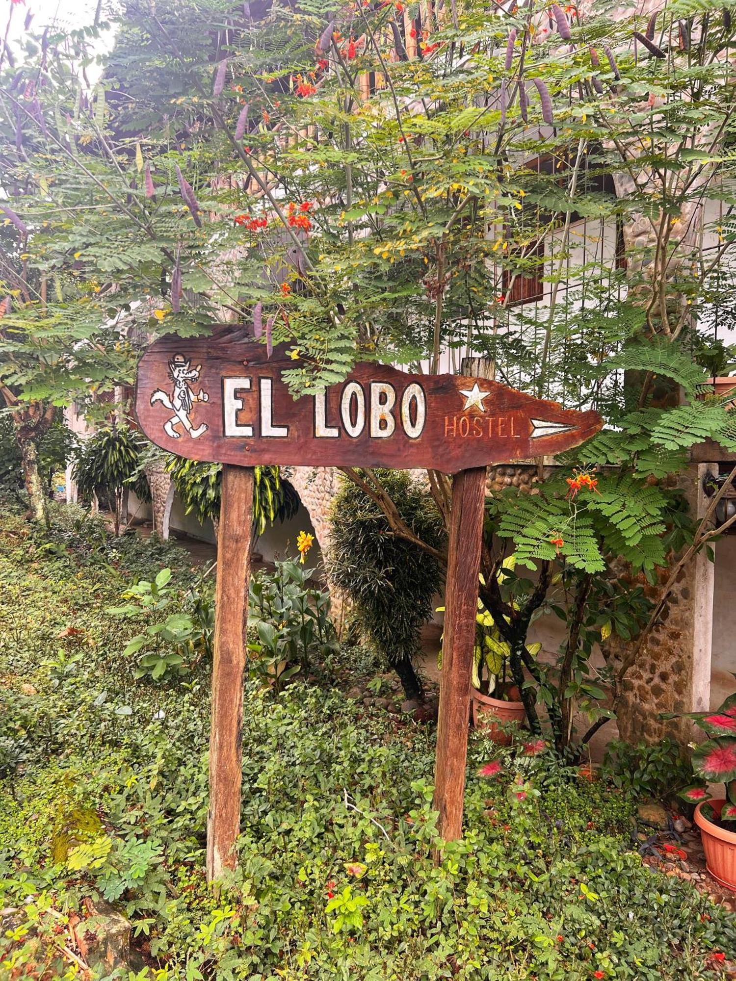 Lobo Hostel - Rurrenabaque (Adults Only) Zewnętrze zdjęcie